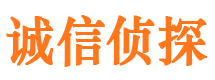 镇宁市调查公司